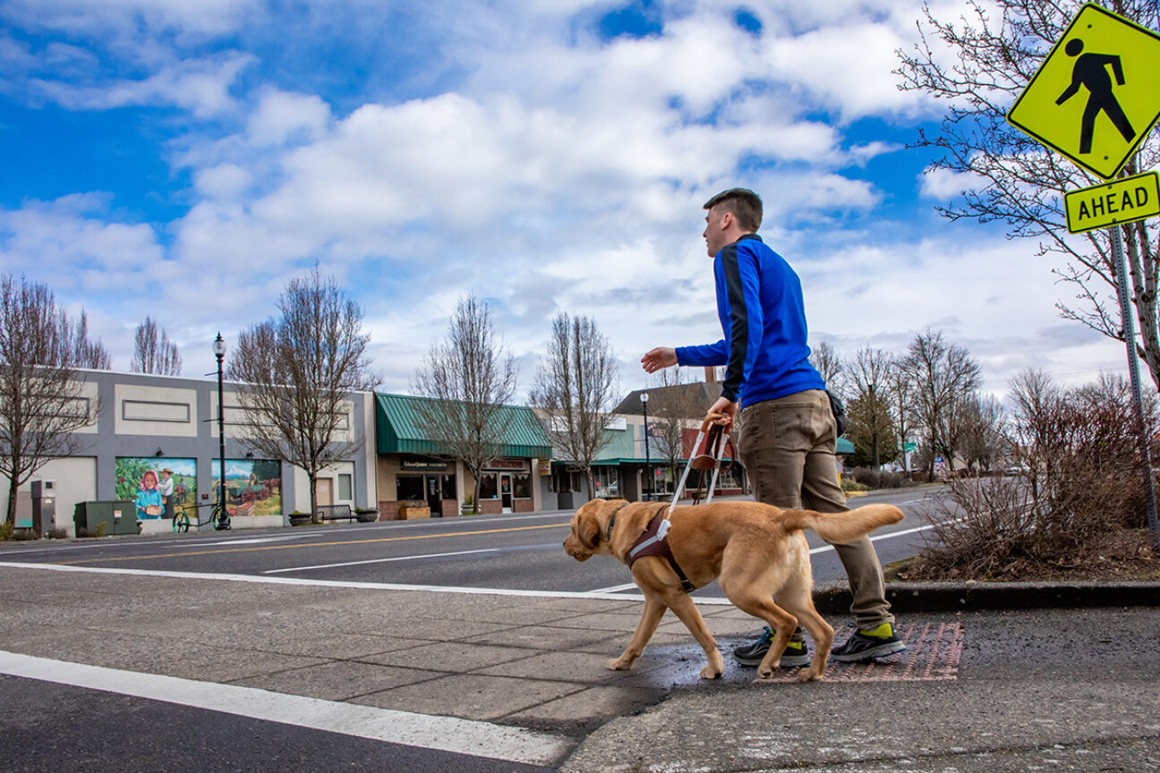 Dog Trainer London: Your Guide to Raising a Well-Behaved City Dog